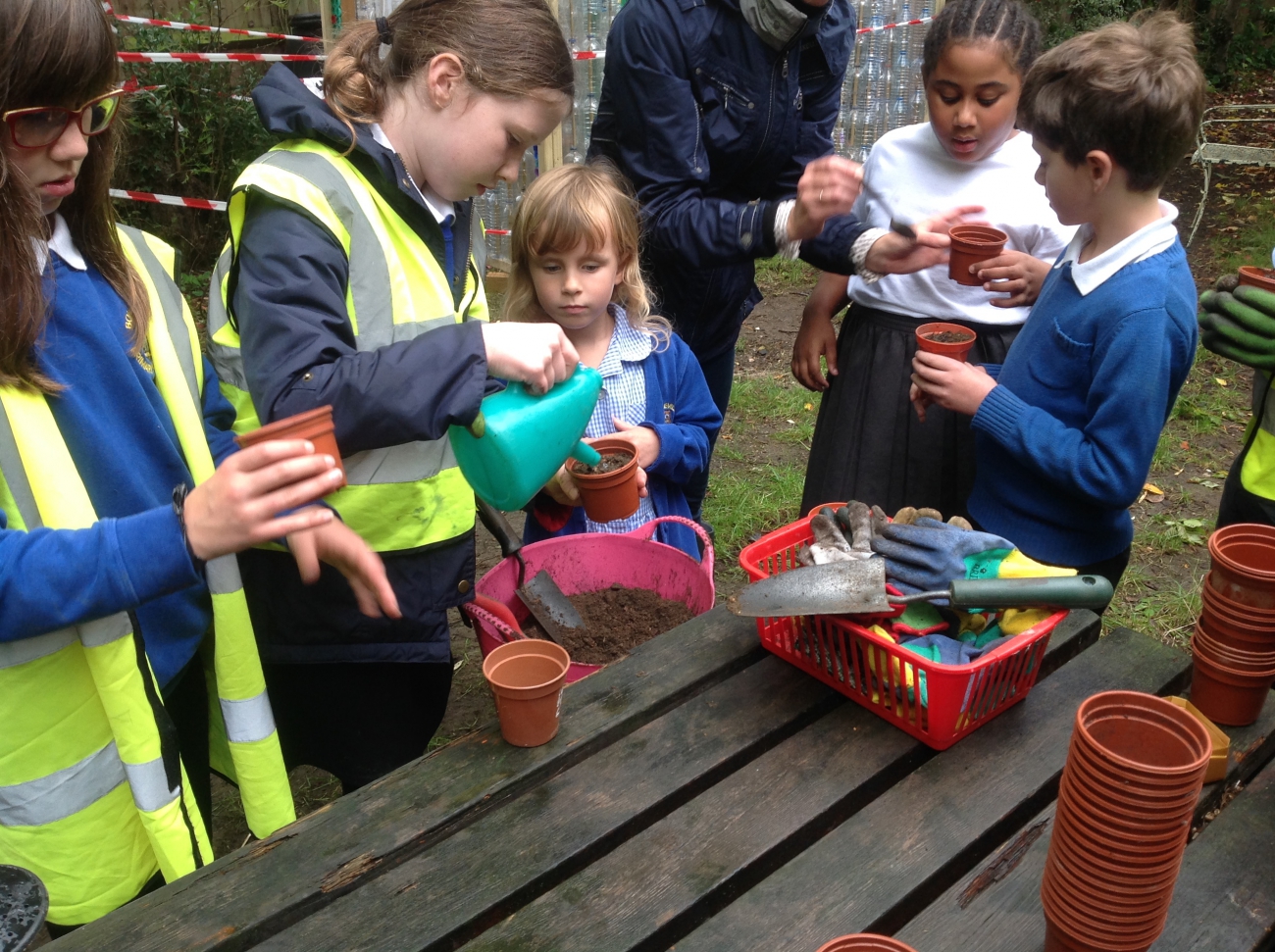 CÂU LẠC BỘ BIZ KIDS